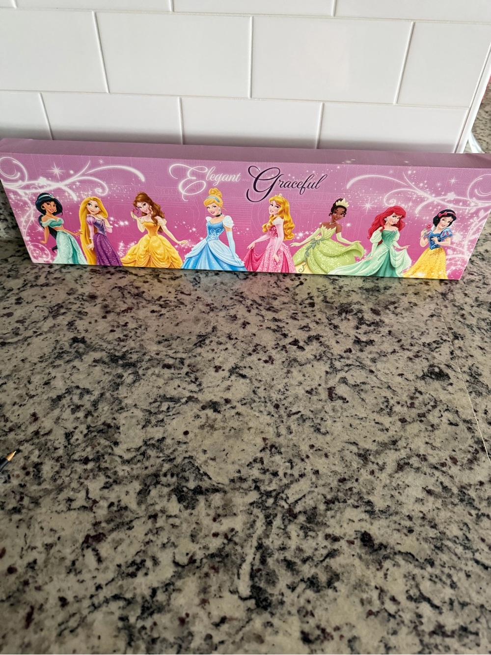 Disney Princess Pink Celebration Canvas with Multicolor Princesses